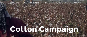 cotton_camp