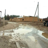 Туркменистан: Программа по развитию села успешно «утонула»